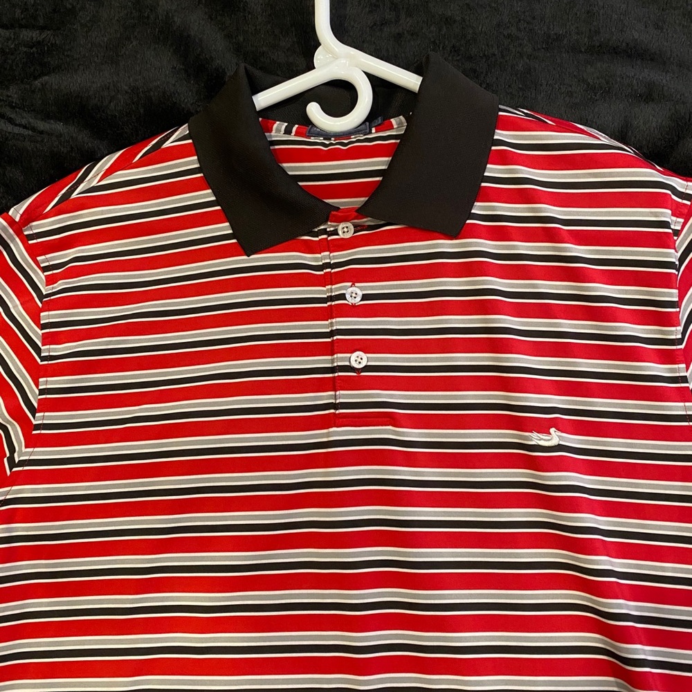 Southern Marsh Polo